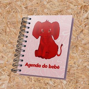 Agenda do Bebe