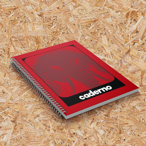 Caderno Universitário 10 matérias Capa Dura Colorido 4x0 cores Grande - 21x29,7cm Miolo Padrão Pautado Preto/Branco (1x1) 160 folhas Offset 75gr Laminação Encadernação Espiral Duplo (wire-o) Dados pessoais - 10 divisórias